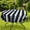 Navy Blue-strips, variant on Outdoor Tablecloth with Umbrella Hole for Oval Table, Waterproof Flowers Patio Table Cloth with Zipper - 60 x 84 inches