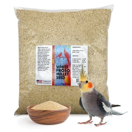 Morning Bird White Proso Millet Bird Seed Bag 9 lbs – Healthy & Nutritious Bird Food is ideal for Seed Eating Birds - Parakeets, Finches, Cockatiels
