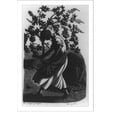 thumbnail image 2 of Historic Framed Print, A lapfull of windfalls, 17-7/8" x 21-7/8", 2 of 9