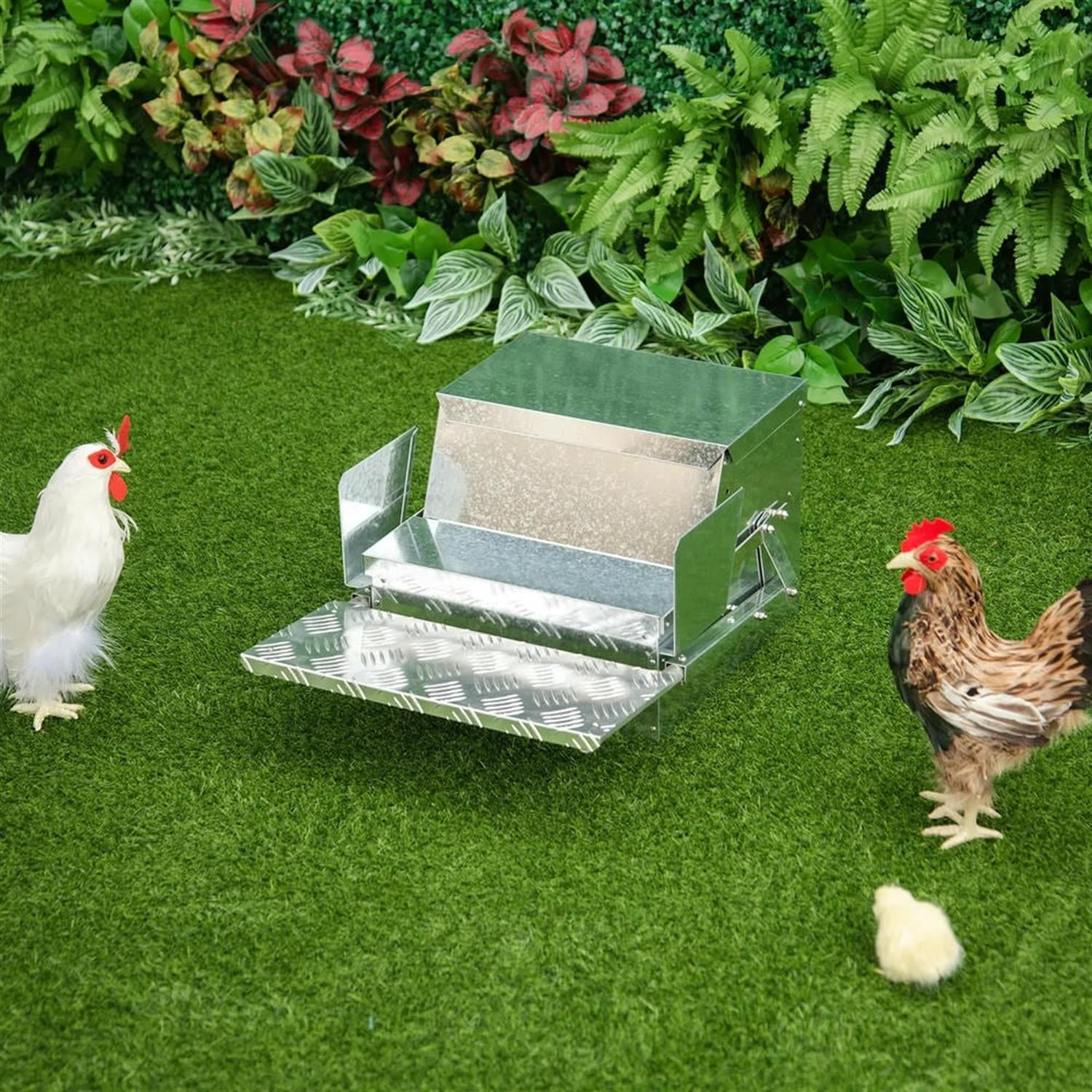 Kadyn Outdoor Automatic Metal Chicken Feeder, Poultry Feeder with Protective Lid for Chickens, Bantams, Pheasants, Holds 30 lbs of Feed, Silver