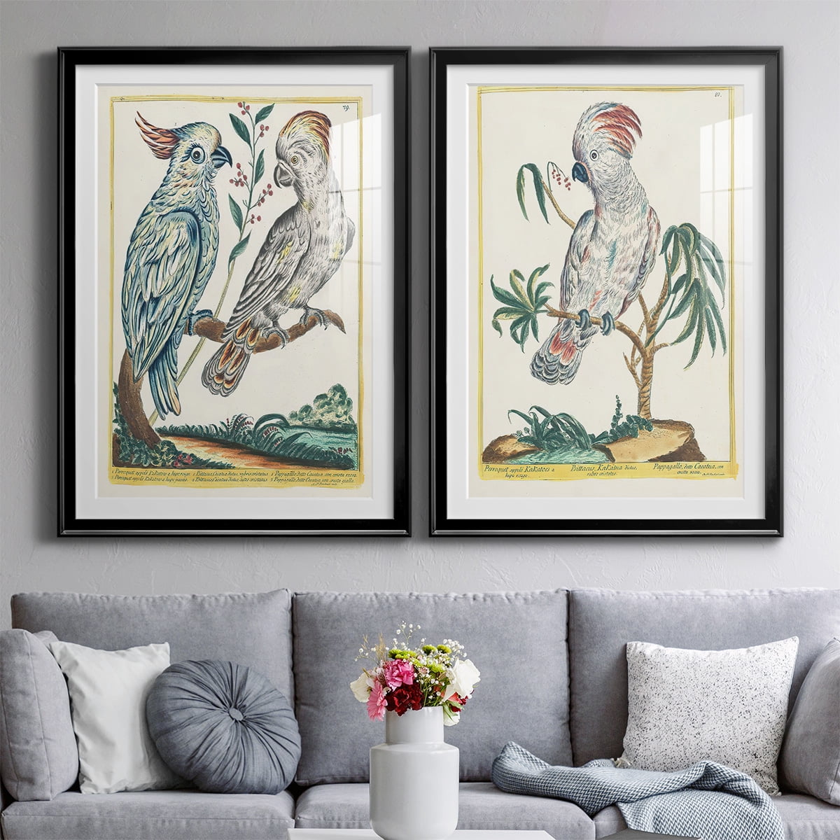 Wexford Home Pastel Birds I Premium Framed Print, 18.5" x 24.5" - Ready to Hang, Black (Set of 2)