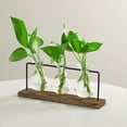 thumbnail image 4 of Terrario con soporte de madera Sunnimix jarrón de propagación de mesa florero de mesa, 4 of 8