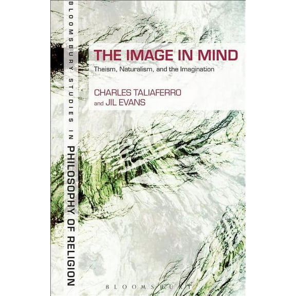 Continuum Studies in Philosophy of Relig The Image in Mind: Theism, Naturalism, and the Imagination, (Paperback)