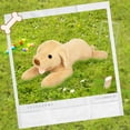 thumbnail image 4 of SUWJELANY Labrador Dog Stuffed Animal, 21.7"Yellow Adorable Labradoodle Dog Plush, Huggable Dog Pillow Gift for Kids Girlfriend, 4 of 6