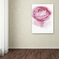 thumbnail image 3 of Trademark Fine Art 'Pink Lady I' Canvas Art by Elizabeth Urquhart, 3 of 3