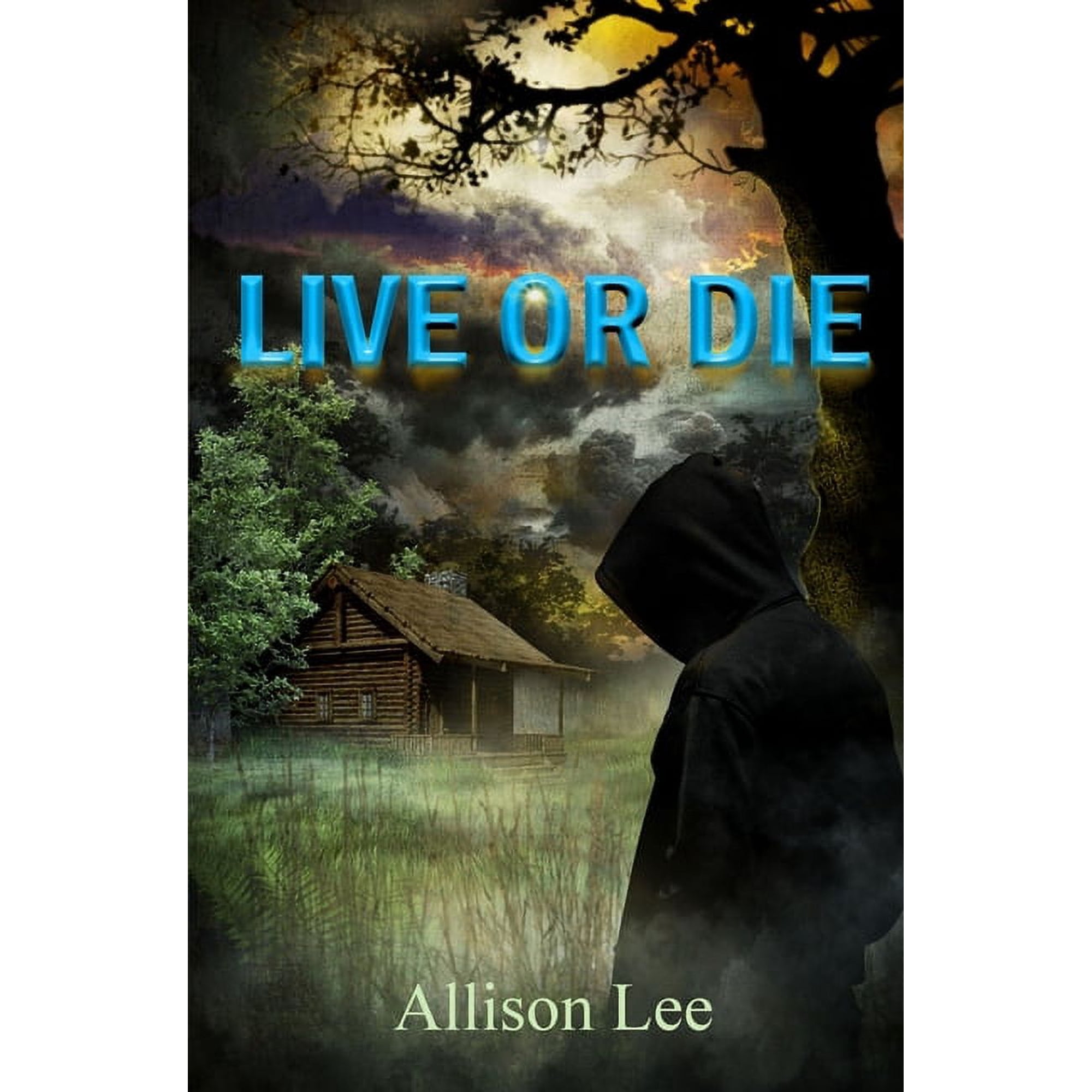 Live or Die (Paperback)