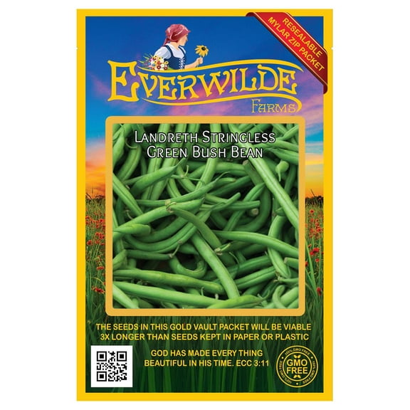Everwilde Farms - 120 Landreth Stringless Green Bush Bean Seeds - Gold Vault Jumbo Bulk Seed Packet