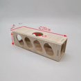 thumbnail image 2 of Túnel subterráneo para hámsteres, casa de observación, canal de excavación, gnomo, oso dorado, casa de escape, juguetes, suministros para paisajismo, 2 of 5