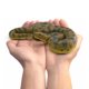 thumbnail image 3 of Figura realista de serpiente Anaconda de juguete de PVC para educación infantil, 3 of 3