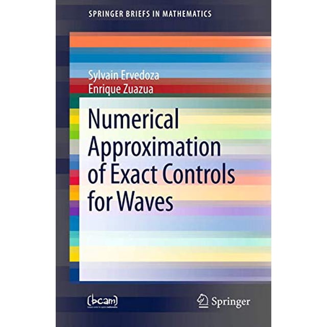 Approximation Numérique des Contrôles Exacts pour Vagues (Sprenerbriefs en Mathématiques)
