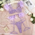 thumbnail image 1 of Traje de lencería sexy fina de encaje transpirable con plumas de malla push up de artesanía compleja popular europea y americana, 1 of 6