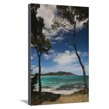 Plage De Palombaggia Beach Porto Vecchio Corsica France Stretched Canvas Print Wall Art By Walter Bibikow