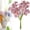 B, variant on Artificial Flowers Artificial Silk Daisy Fake Flowers UV Resistant Outdoor Fake Wildflowers with Stems Greenery Shrubs Plants Arrangements for Home Garden for Decoration (Champagne)