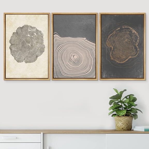 PixonSign Framed Wall Art Set Gray Wood Tree Ring Spirals Digital Art Vintage Abstract Circles Pattern Modern Prints Colorful Contemporary Calm/Zen for Home Decor - 24"x36"x3 Panels Natural