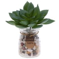thumbnail image 1 of Plantas Suculentas Artificiales Colco para decoración de arreglos, 1 of 7
