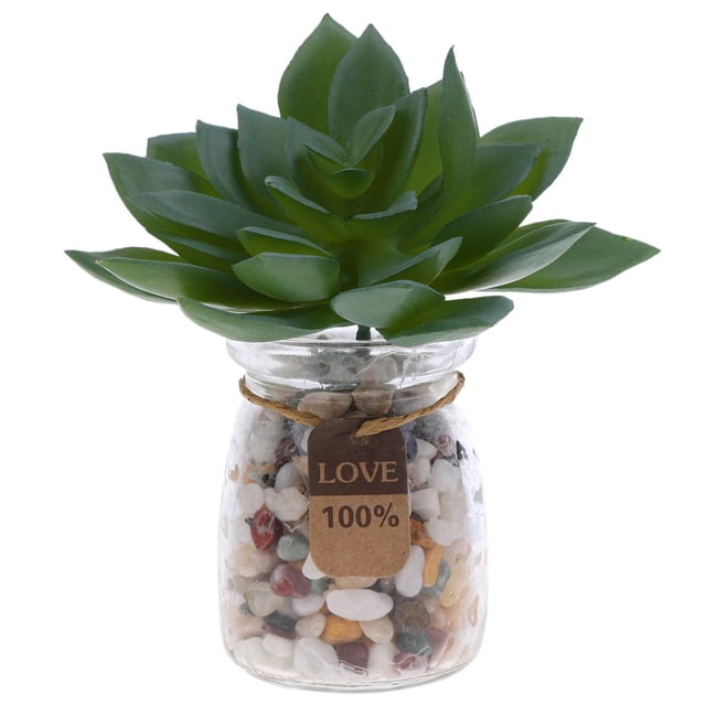 Plantas Suculentas Artificiales Colco para decoración de arreglos