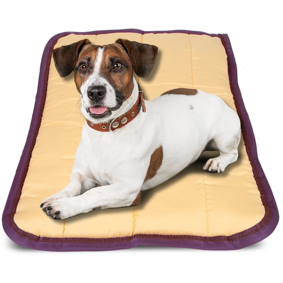 Jeffers Pet Comfort Dog Pillow, XL 36" x 48", Tan – Machine Washable Dog Bed for House, Sofa, Crate & Travel – Poly Cotton Shell, Winter Warmth, Soft, Comfy, Durable, Top Pet Bedding
