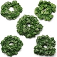 thumbnail image 3 of Enredadera de tigre trepadora simulada, hoja de plástico, flor falsa, decoración del hogar, hiedra, 3 of 6