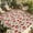 Red Green Beige, variant on Red Strawberry Outdoor Rug for Patio/Deck/Porch, Non-Slip Large Area Rug 4 x 6 Ft, Country Fruit Summer Retro Tropical Indoor Outdoor Rugs Washable Area Rugs, Reversible Camping Rug Carpet Runner