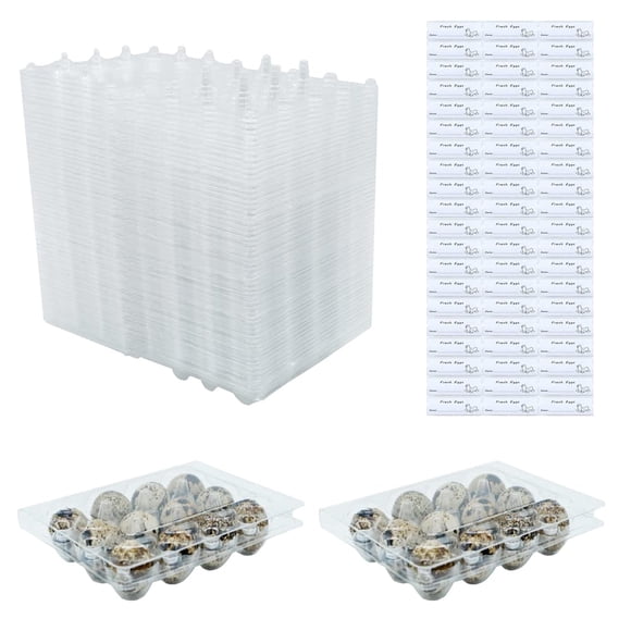 Cartones de huevos de codorniz BULKBUY de plástico transparente, 60 paquetes con etiquetas