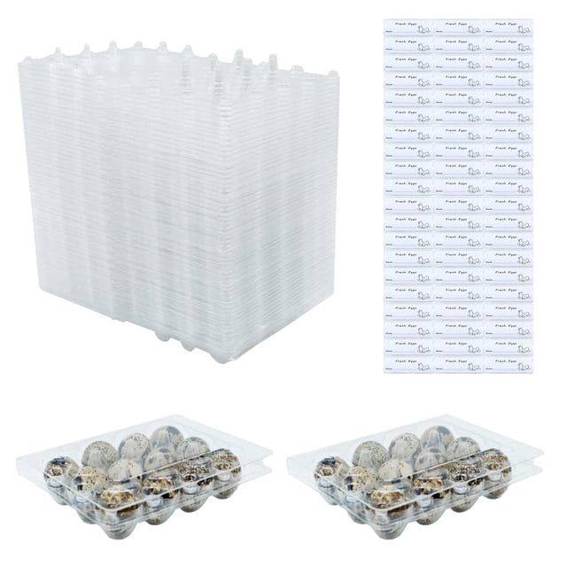 Cartones de huevos de codorniz BULKBUY de plástico transparente, 60 paquetes con etiquetas