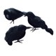 thumbnail image 2 of 3 cuervos de Halloween, pájaros con plumas negras, accesorios decorativos artificiales para cercas, árboles, exteriores, interiores y terrazas., 2 of 8