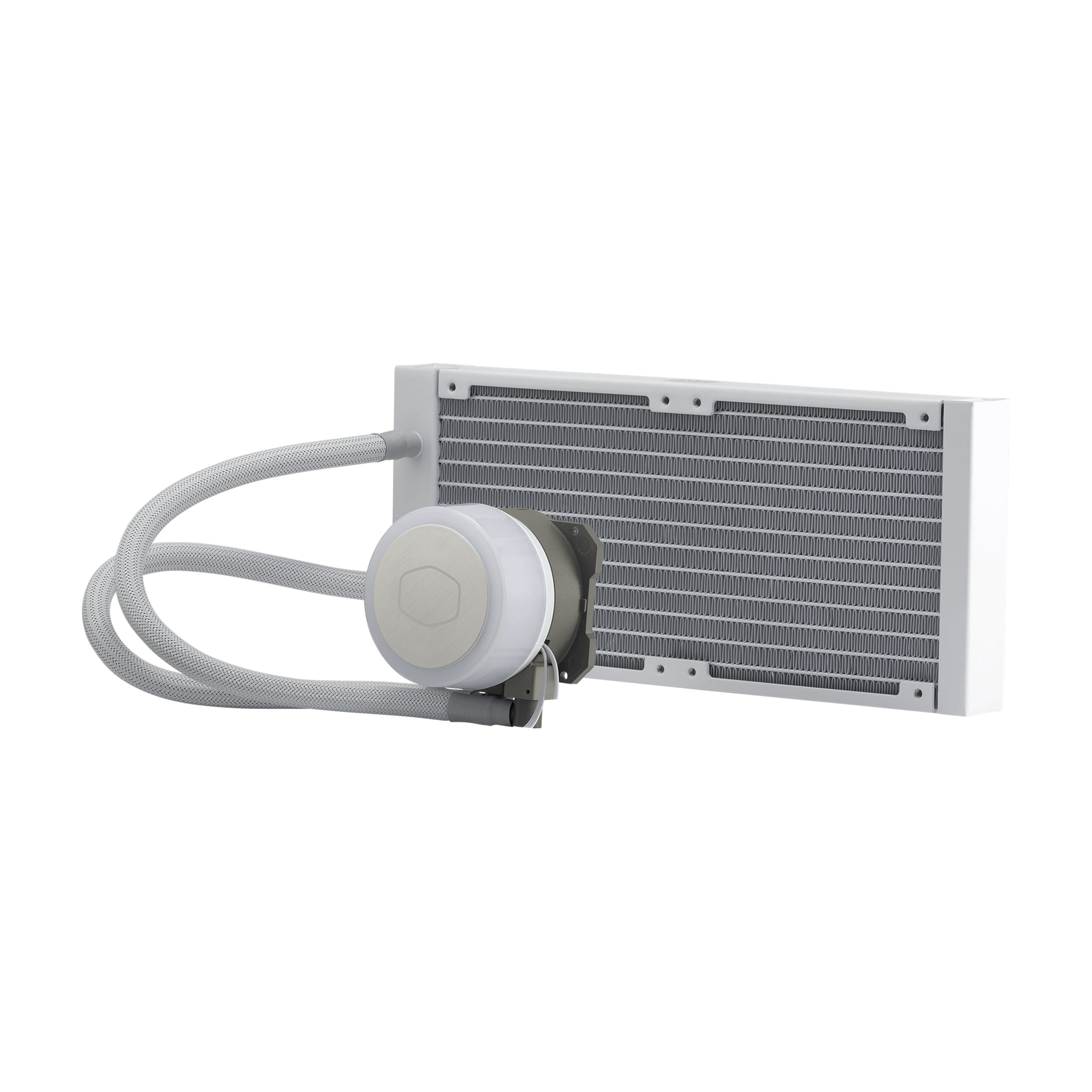 hitomiちゃん様専用 サルタレッリ フローレンス コーナー