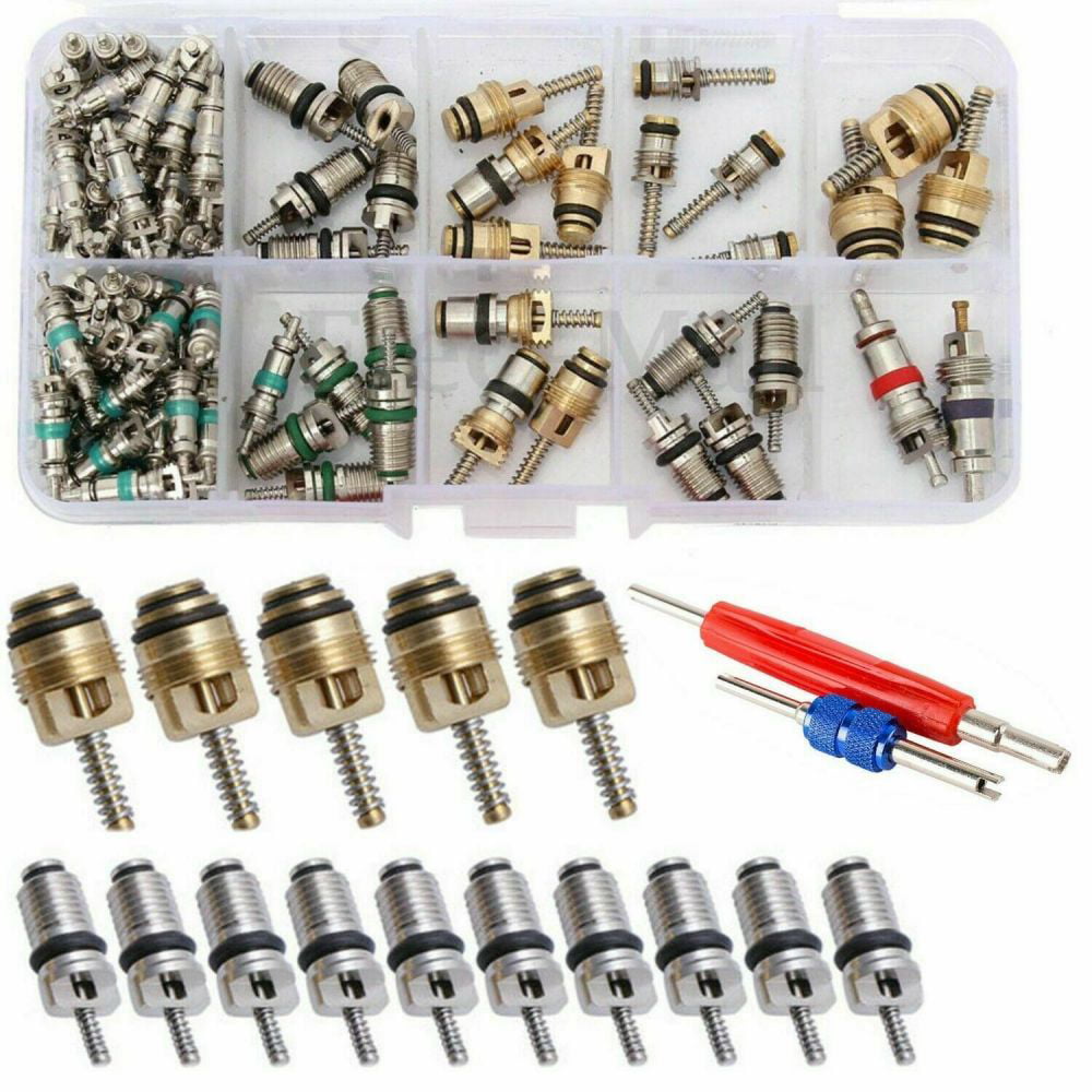 102pcs Auto R134a/R12 A/C Air Schrader Valve Core & Remover Tool Kit 1/4" 5/16" 