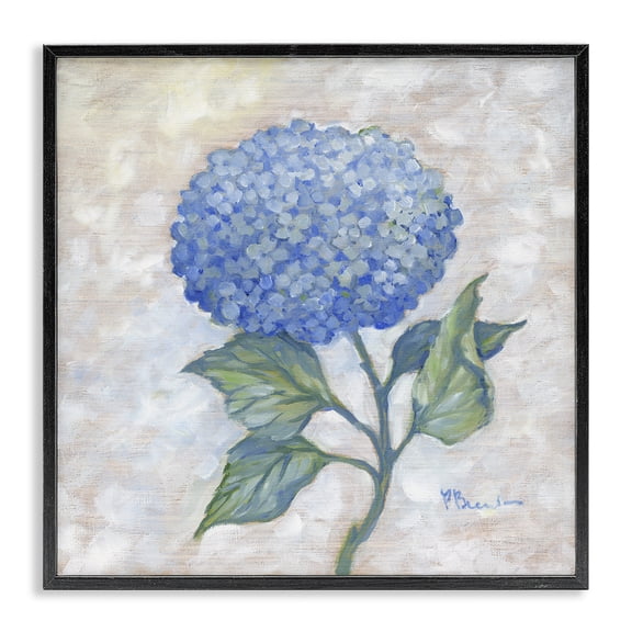 Stupell Industries Shabby Chic Traditional Blue Hydrangea Bloom Black Framed Giclee Art, 12 x 12, by Paul Brent