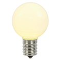 thumbnail image 1 of G50 Ceramic LED Replacement Bulbs with Warm White Lights - Pack of 5, 1 of 1
