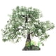 thumbnail image 5 of Decoración de resina para acuarios, delicada planta de acuario, árbol artificial decorativo, suministros para acuarios., 5 of 8