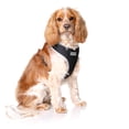 thumbnail image 5 of DOOG - Neoflex Dog Soft Harness Lassie - Extra Small, 5 of 7