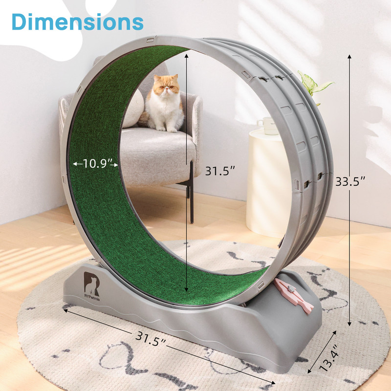 Cat Exerciser Wheel, 31.5 Inch Cat Toy Running Wheel Treadmill with Detachable Carpet for Indoor Cats, Plastic Wheel