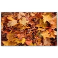 thumbnail image 1 of Picture-Tiles.com: Autumn Ceramic Tile Wall Mural WAL500038-53XL. 60"W x 36"H using (15) 12" x 12" Ceramic Tiles-Satin Finish, 1 of 3