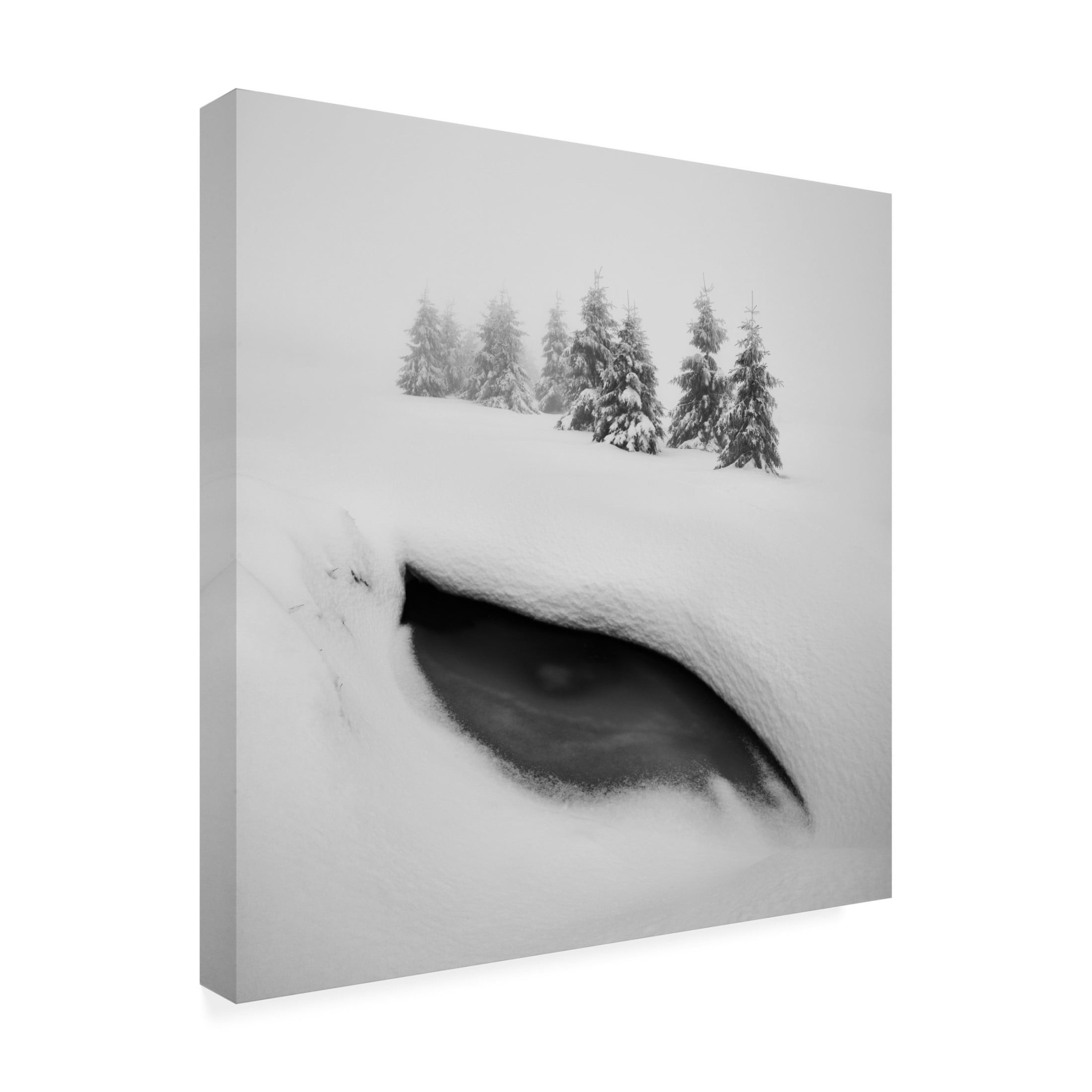 Canvas Wall Art - Daniel Rericha 'Dragon Eye' Wall Art for Living Room, Bedroom, or Office D?cor by Trademark Fine Art - 18 x 18 Inches