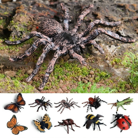 

ruhuadgb Halloween Spider Model Ornament Simulation Spider Plastic Figurine Kids Educational Toy Desktop Garden Ornament Halloween Tricky Toy Gift