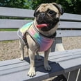thumbnail image 4 of Fashion Summer Cooling Pet Clothes Outdoor Fat Dog Vest Shirt Clothes For Small Medium Dogs Vest Clothing For Dogs Cooling Costume Pug, 4 of 8