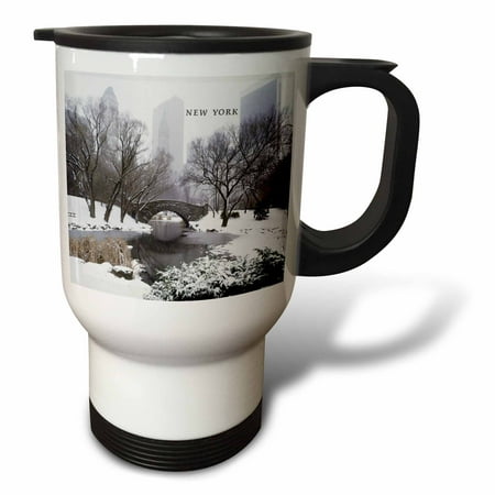 

Winter in Central Park 14oz Stainless Steel Travel Mug tm-62098-1