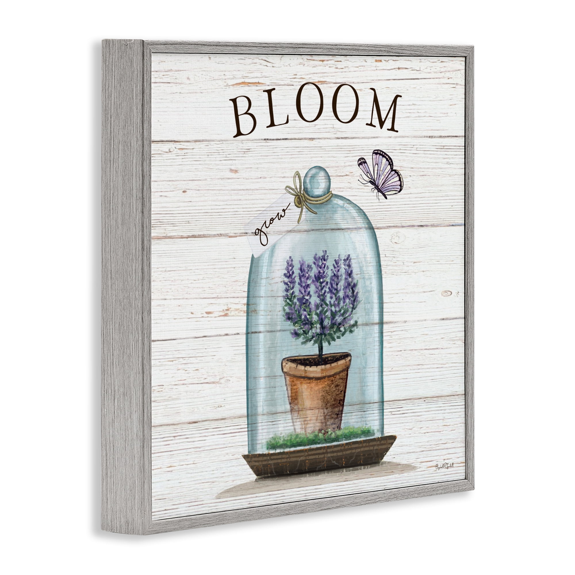Stupell Industries Cottage Bloom in Bell Jar Gray Framed Giclee Art, design by Elizabeth Tyndall