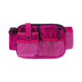 thumbnail image 3 of Nurse Fanny Pack, Multi Compartment Pocket Nursing Organizer Belt Bag, Apron Hip Bag Utility Waist Pack for Bandages Supplies Rose Red, 3 of 10