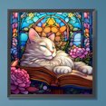 thumbnail image 1 of Pintura de diamante 5D DIY Taladro redondo completo Un gato Vitral Decoración del hogar JShteea El nuevo, 1 of 9