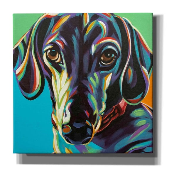 Epic Graffiti 'Painted Dachshund I' by Carolee Vitaletti, Canvas Wall Art, 37"x37"