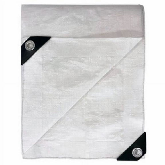 ITM HD-GT-FR-1220 12' ft x 20' ft White Heavy Duty Fire Resistant Tarp - Quantity of 2