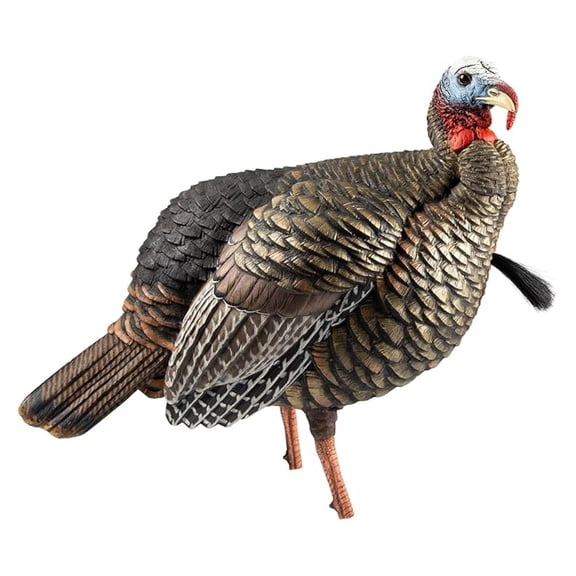 HDR Jake Turkey Decoy | Rugged Durable Realistic Lifelike Quarter-Strut Body Standing Hunting Decoy with 2 Removable Heads, Mounting Stake & Carry Bag