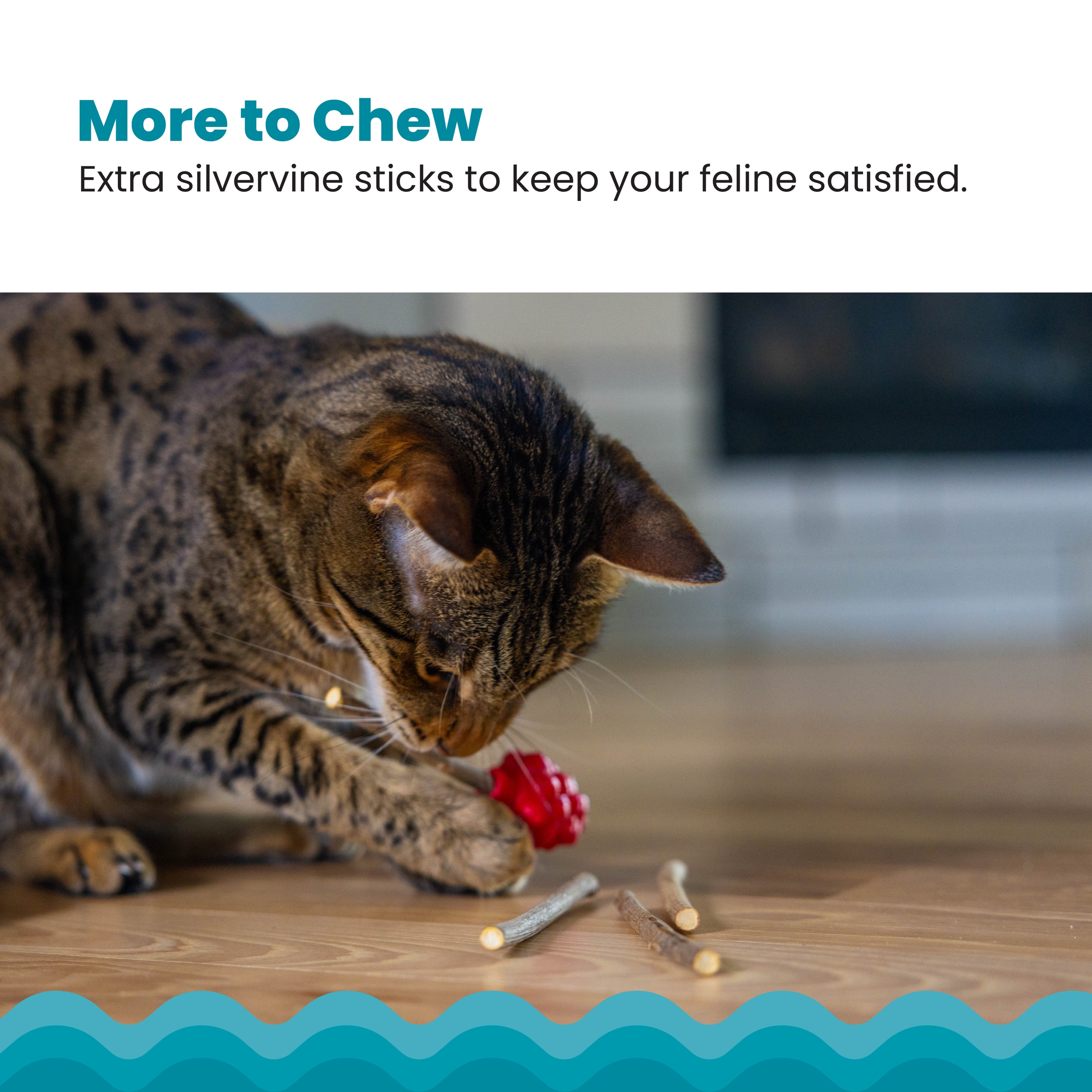 Catstages Dental Raspberry Teether with Silvervine Sticks, Cat Teething Toy Red