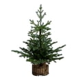 thumbnail image 3 of Nearly Natural 3ft. Pre-Lit Artificial Christmas Tree in Jute Wire Planter with 30 Warm White LED Lights, 3 of 10