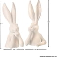 thumbnail image 4 of Regency International Gentleman Bunny Bust, Resin, 12-Inch Height, 4 of 4