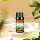 thumbnail image 2 of Aceite de aromaterapia para aliviar la fatiga, ayuda a respirar, 10 ml de té verde, 2 of 4