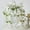 White, variant on EGYMEN Wall Hanging Crabapple Branch Rose, Dining Table Home Silk Artificial Maple Leaves, 1 x Artificial Maple Leaves