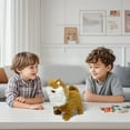 thumbnail image 3 of BotaniNest " Cat : Soft & Lovable! Keep Your Kitty Entertained With This That’s All The In !", 3 of 5